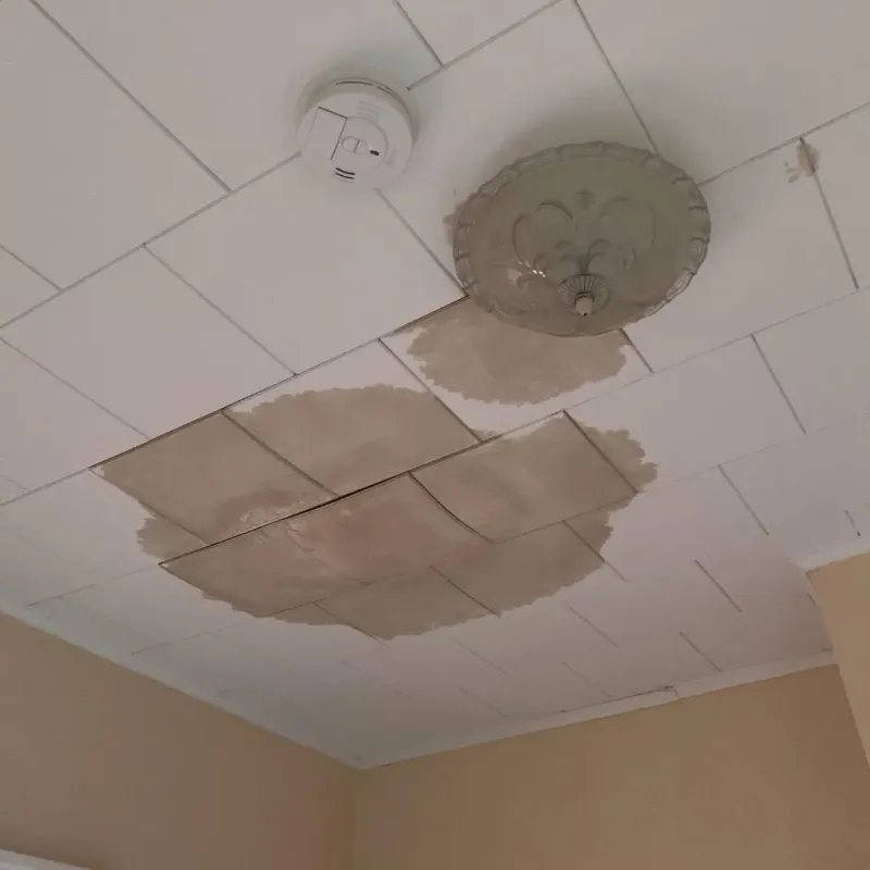 Ceiling Water Damage Repair in Deering, NH