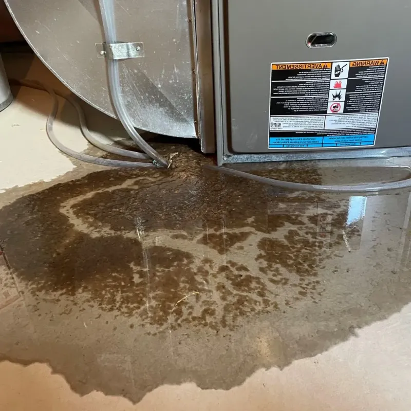 Pipe Burst and Leak Restoration in Deering, NH