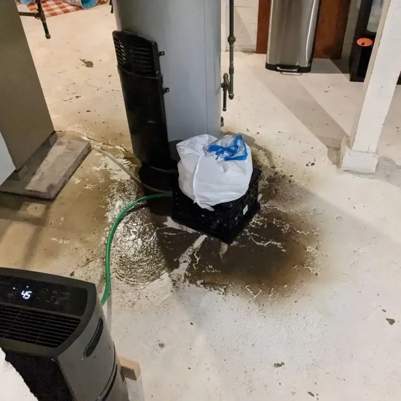 Sewage Backup Cleanup Service in Deering, NH